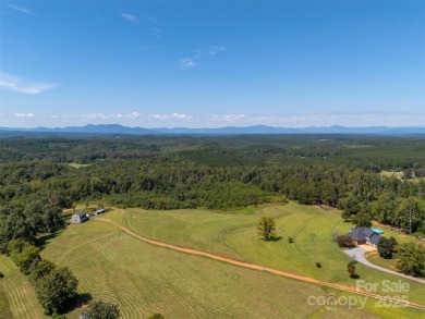 Lake Acreage For Sale in Rutherfordton, North Carolina