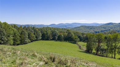 (private lake, pond, coastal) Acreage For Sale in Tuckasegee North Carolina