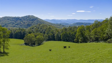 Mountain Paradise Awaits: 210+ Unrestricted Acres with Endless - photo 3
