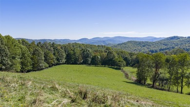 Mountain Paradise Awaits: 210+ Unrestricted Acres with Endless - photo 4