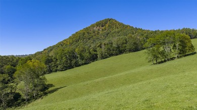Mountain Paradise Awaits: 210+ Unrestricted Acres with Endless - photo 5
