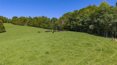 Mountain Paradise Awaits: 210+ Unrestricted Acres with Endless - photo 6