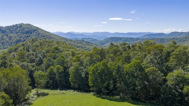 Mountain Paradise Awaits: 210+ Unrestricted Acres with Endless - photo 7