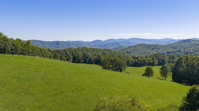 Mountain Paradise Awaits: 210+ Unrestricted Acres with Endless - photo 8