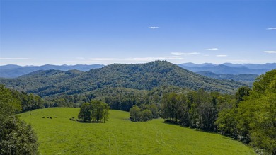 Mountain Paradise Awaits: 210+ Unrestricted Acres with Endless - photo 9
