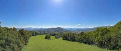 Mountain Paradise Awaits: 210+ Unrestricted Acres with Endless - photo 10