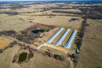 (private lake, pond, coastal) Commercial For Sale in Mount Vernon Texas