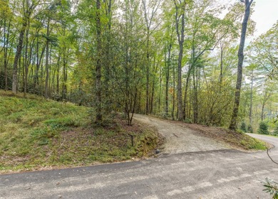 Welcome to Farm Estate Lot 3 at Silver Run Reserve, a rare - photo 3