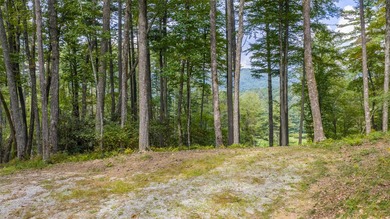 Welcome to Farm Estate Lot 3 at Silver Run Reserve, a rare - photo 6
