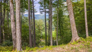 Welcome to Farm Estate Lot 3 at Silver Run Reserve, a rare - photo 7