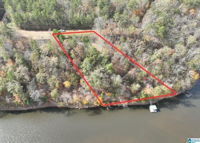 Lake Lot For Sale in Wedowee, Alabama