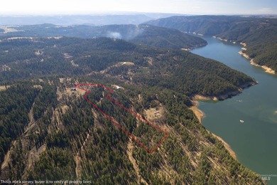 Wow, what a view on this 20 acre parcel overlooking Dworshak - photo 12