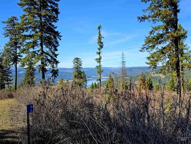 Wow, what a view on this 20 acre parcel overlooking Dworshak - photo 13