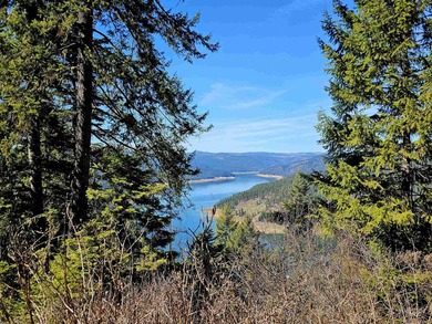 Wow, what a view on this 20 acre parcel overlooking Dworshak - photo 15