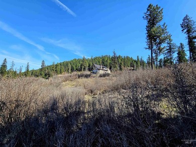 Wow, what a view on this 20 acre parcel overlooking Dworshak - photo 16