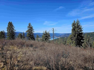 Wow, what a view on this 20 acre parcel overlooking Dworshak - photo 17