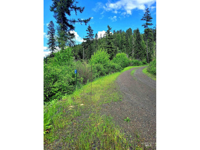 Wow, what a view on this 20 acre parcel overlooking Dworshak - photo 19