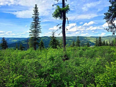 Wow, what a view on this 20 acre parcel overlooking Dworshak - photo 20