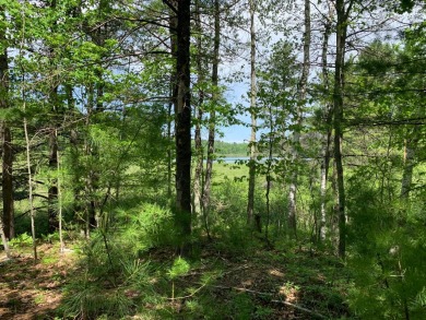 Somo River Lot For Sale in Tomahawk Wisconsin