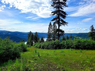 Wow, what a view on this 20 acre parcel overlooking Dworshak - photo 21