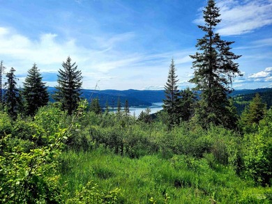 Wow, what a view on this 20 acre parcel overlooking Dworshak - photo 22