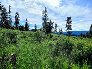 Wow, what a view on this 20 acre parcel overlooking Dworshak - photo 23