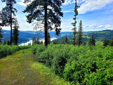 Wow, what a view on this 20 acre parcel overlooking Dworshak - photo 24