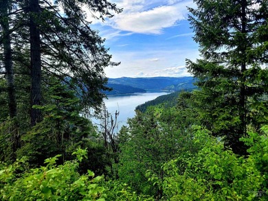 Wow, what a view on this 20 acre parcel overlooking Dworshak - photo 25