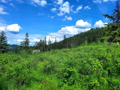 Wow, what a view on this 20 acre parcel overlooking Dworshak - photo 26