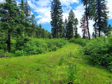 Wow, what a view on this 20 acre parcel overlooking Dworshak - photo 27