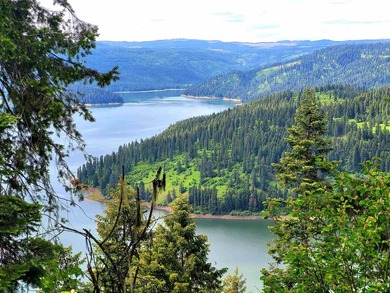 Wow, what a view on this 20 acre parcel overlooking Dworshak - photo 28