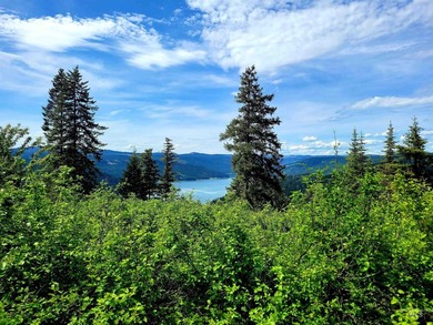 Wow, what a view on this 20 acre parcel overlooking Dworshak - photo 29