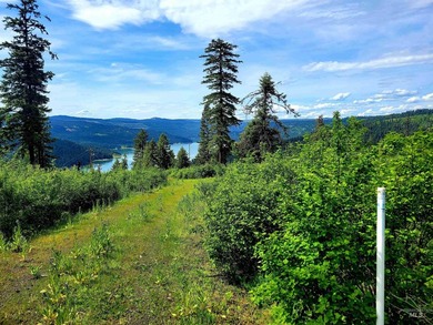 Wow, what a view on this 20 acre parcel overlooking Dworshak - photo 30