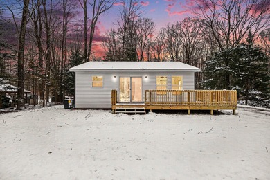 Hardy Dam Pond Home For Sale in Newaygo Michigan