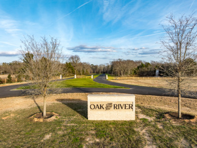 New Home in Gated Community at Lake Palestine - photo 4