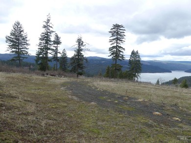 Wow, what a view on this 20 acre parcel overlooking Dworshak - photo 35