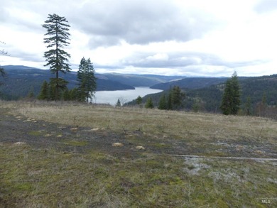 Wow, what a view on this 20 acre parcel overlooking Dworshak - photo 36