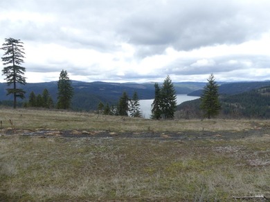 Wow, what a view on this 20 acre parcel overlooking Dworshak - photo 38