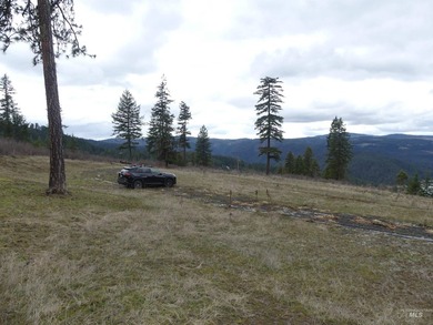 Wow, what a view on this 20 acre parcel overlooking Dworshak - photo 39
