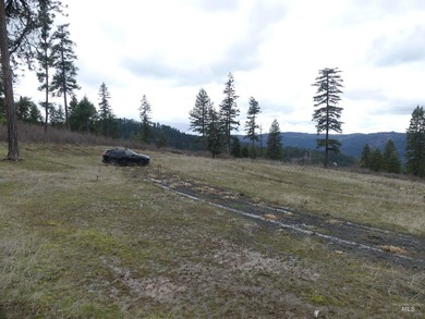 Wow, what a view on this 20 acre parcel overlooking Dworshak - photo 40