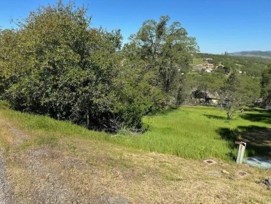 Lake Lot For Sale in Copperopolis, California