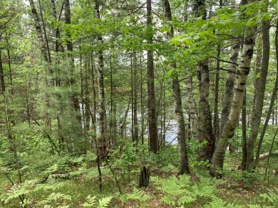 (private lake, pond, creek) Lot For Sale in Tomahawk Wisconsin