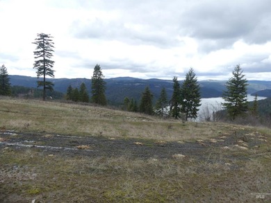 Wow, what a view on this 20 acre parcel overlooking Dworshak - photo 41