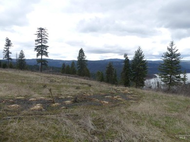 Wow, what a view on this 20 acre parcel overlooking Dworshak - photo 42