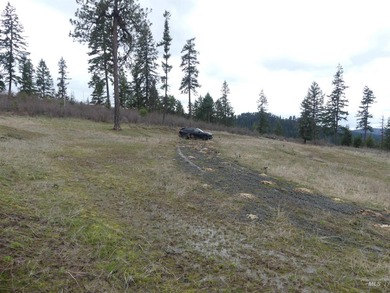 Wow, what a view on this 20 acre parcel overlooking Dworshak - photo 43