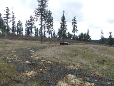 Wow, what a view on this 20 acre parcel overlooking Dworshak - photo 44