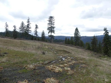 Wow, what a view on this 20 acre parcel overlooking Dworshak - photo 45