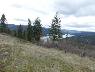 Wow, what a view on this 20 acre parcel overlooking Dworshak - photo 46