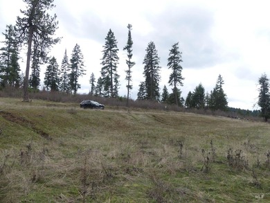 Wow, what a view on this 20 acre parcel overlooking Dworshak - photo 47