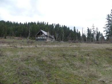 Wow, what a view on this 20 acre parcel overlooking Dworshak - photo 48